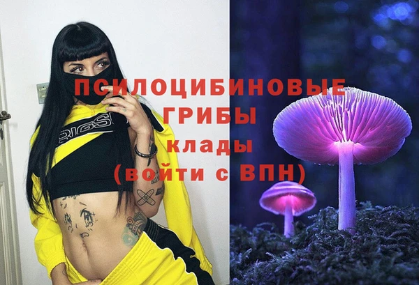 a pvp Дмитриев