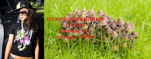 круглые Дмитров
